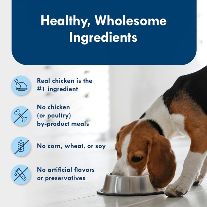 Blue Buffalo Delights Small Breed Natural Wet Dog Food, Rotisserie Chicken Flavor in Gravy, 3.5-oz Cups, 12 Count - Image 7