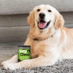 Dogs | Hip and Joint Supplement for Dog Joint Pain Relief Infused with Organic Hemp Oil, Glucosamine, Chondroitin, Turmeric, MSM to Enhance Mobility, Flexibility & Comfort - Image 7