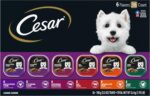 Cesar Wet Dog Food Classic Loaf in Sauce Grilled Chicken