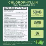 Chlorophyll Gummies - Super Green with Wheat Grass - Image 2