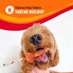 Good'n'Fun Triple Flavored Rawhide Kabobs for Dogs - Image 7